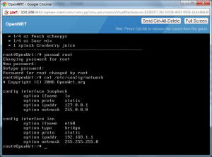 Initial network config